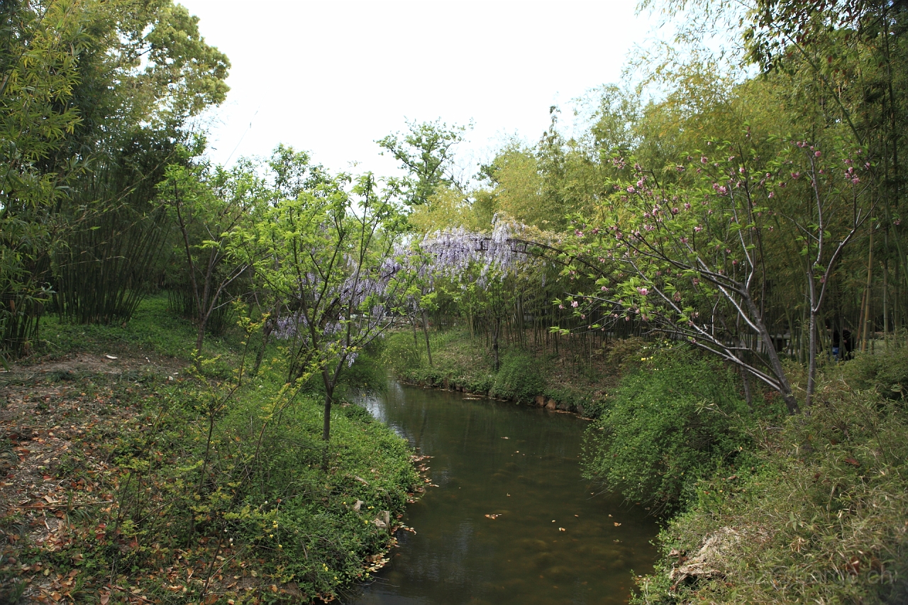 EOS 5D Mark II19_04_20135735.JPG